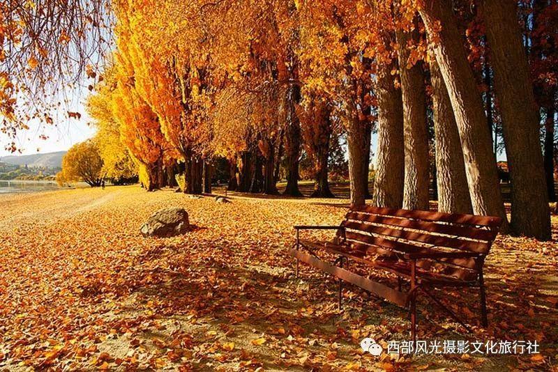 极品飞车ONLINE